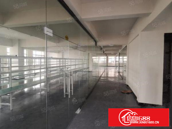 长安临深霄边全新精装修厂房181平，地坪漆，水电齐全物业直租