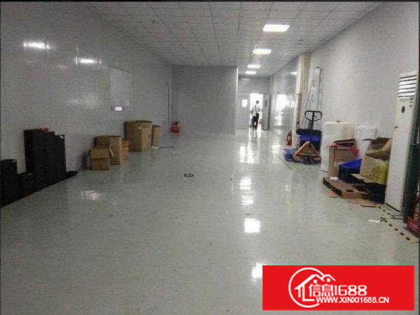 龙岗区横岗楼上高端厂房300平方带装修出租，无需转让费