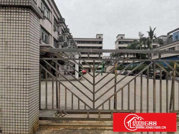 横沥三江工业园新出花园式独院工业厂房4500平招租