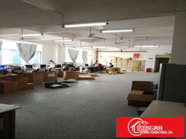 坂田上雪科技园带装修一楼楼上1480540出租