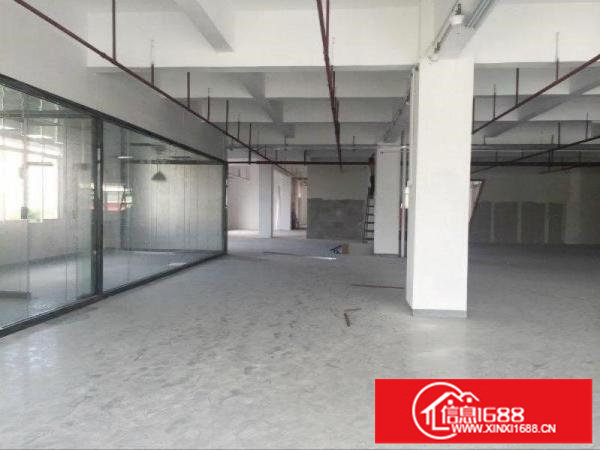 新出一楼厂房出租龙岗厂房招租可分租