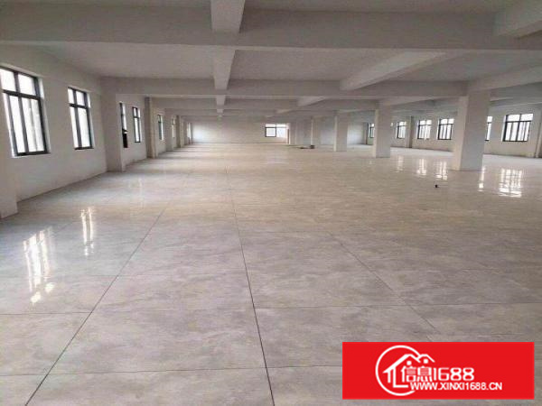 楼上豪华装修1100平方厂房出租