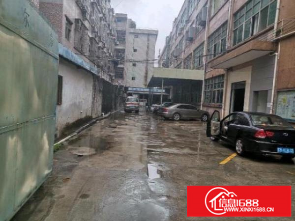 沙荷路排一楼1300平！高5米。