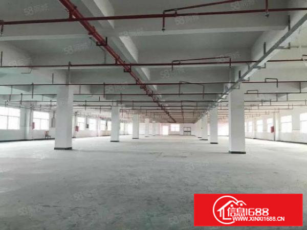 常平新出经典独院厂房出租