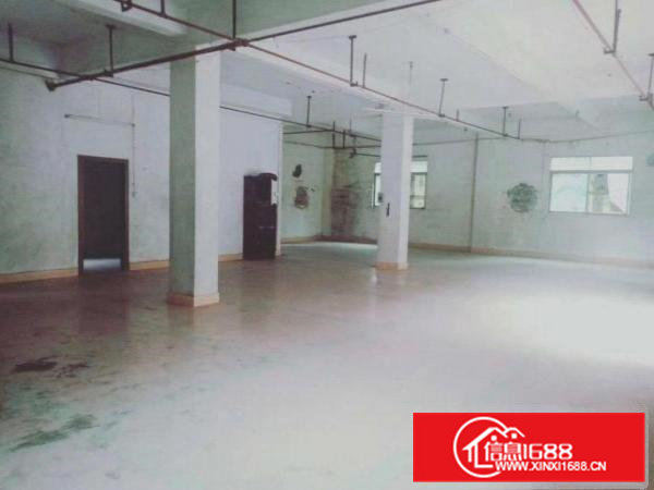 茶山横江独栋小厂房，合适做制衣玩具。