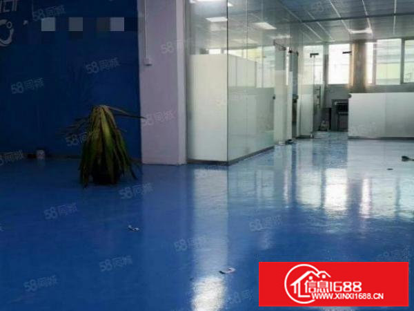 牛湖大水田新出800平方带装修厂房