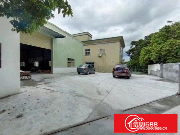 常平新出独门独院1000平钢构水滴7米，中间无柱子使用率高