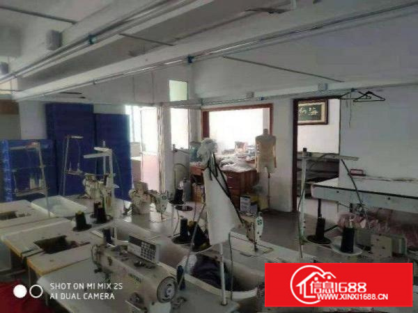 坪山石井金田路边上新出一楼380平出租，实量面积