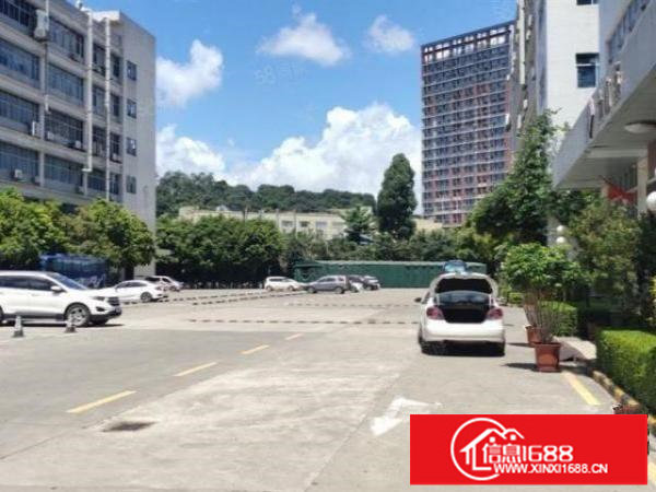 布吉布澜路附近原房东直租1300平红本厂房可申请高