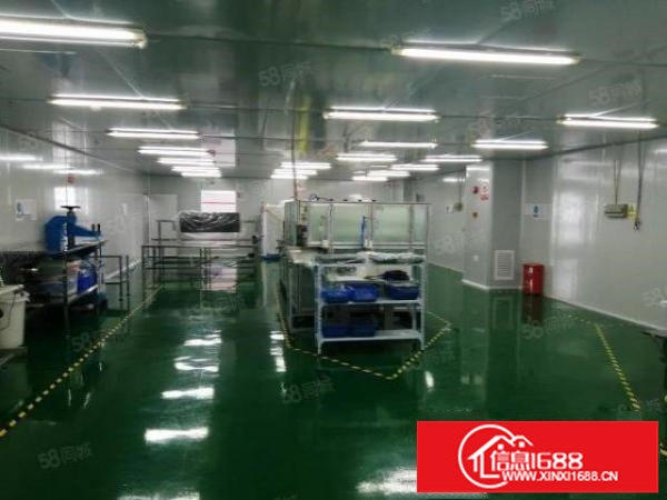 光明（无尘车间）带红本楼上精装修2000平方