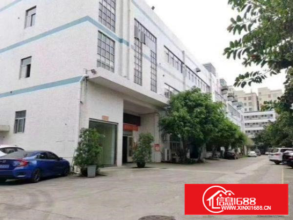 沙井步涌同富裕村委3000平米精装修厂房出租