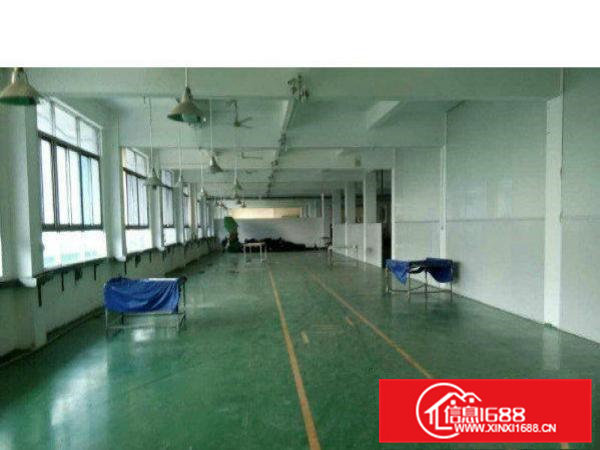 清溪长山头新出二楼厂房800平方现成办公装修