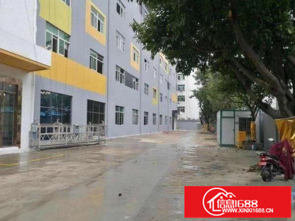 横岗2000平独门独院厂房可分租