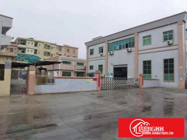 桥头镇原房东标准独院厂房6900平