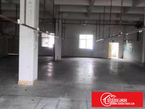 寮步横坑原房东标准独院厂房600平方出租，交通便利