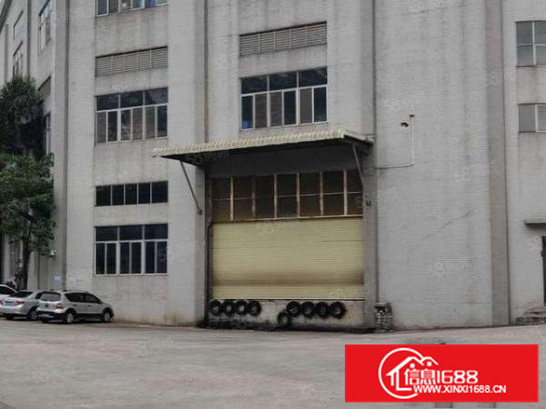 大岭山超高厂房出租二楼可做一楼用