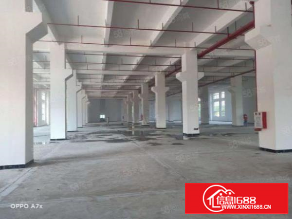 寮步百业电子城附近一楼1000平方厂房出租，可60平方起分租