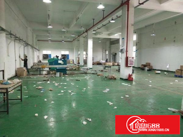 谢岗镇原房东独栋厂房