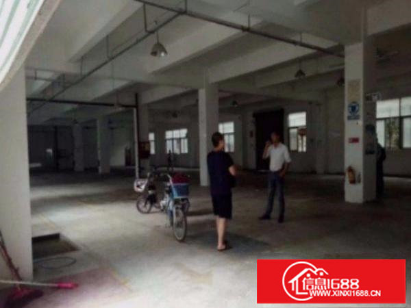 平湖白泥坑新出一楼标准厂房900平水电齐全空地大