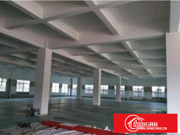 横沥田坑标准厂房出租楼上面积800平方带一部3吨电梯