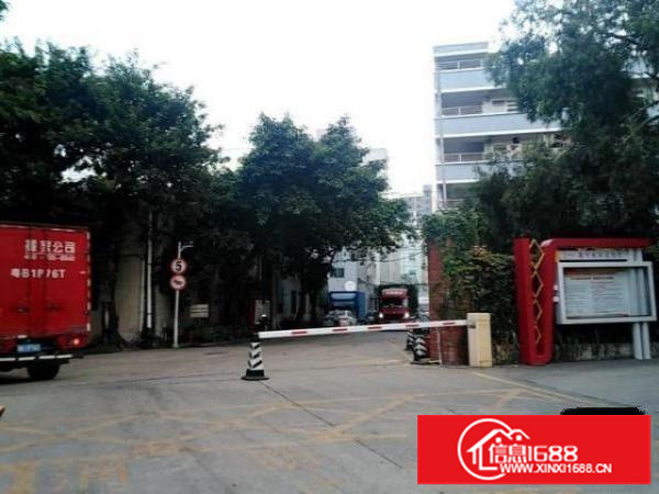 出租龙华区大浪（龙军工业区）