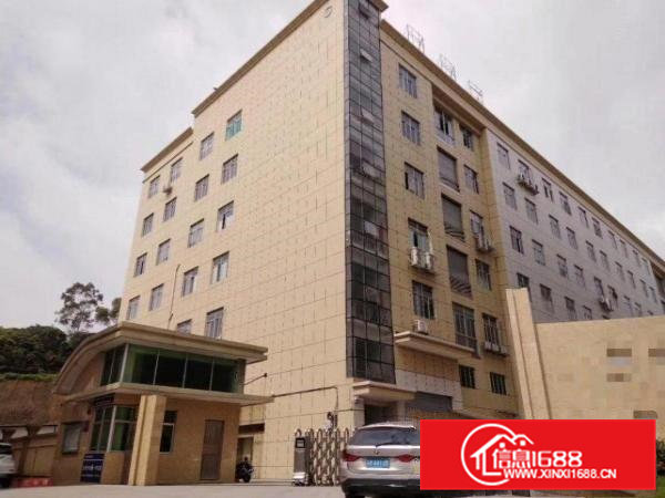 大岭山杨屋村原房东全新独院厂房7500平米