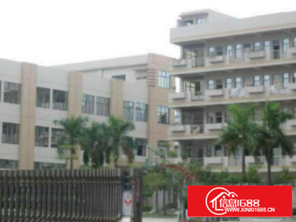 万江标准1380㎡出租(配套齐全工业区环境好，易招工，配套合