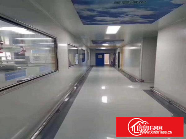 无尘医疗车间场地出租，600平