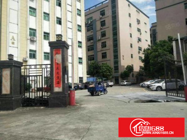 观澜松元新出单层面积1500平方出租