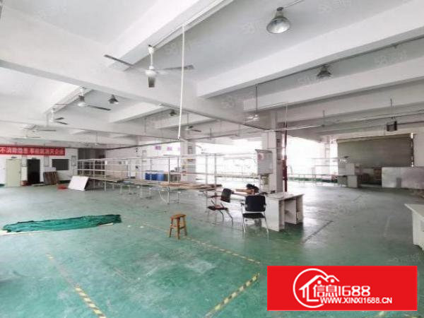 石岩料坑新出楼上500平精装修无转让费厂房出租