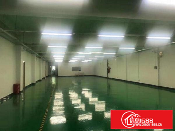 横沥镇三江工业区无尘车间厂房850平方招租，可做口罩