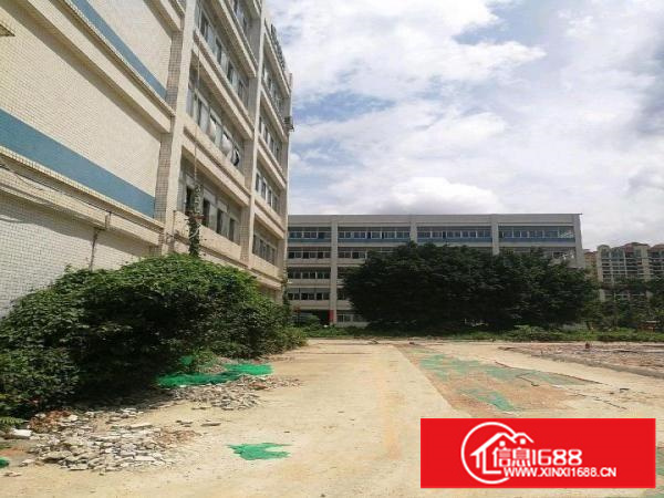 木棉湾厂房160平起租油画印刷珠宝仓库