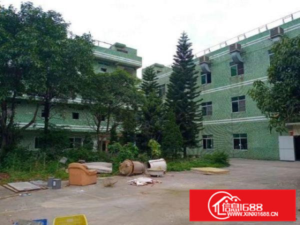 桥头镇原房东独院厂房，可分租，车间采光好，格局方正