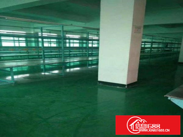 大亚湾(6000平米独院)厂房招租