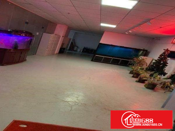 半间厂房加办公室宿舍外租