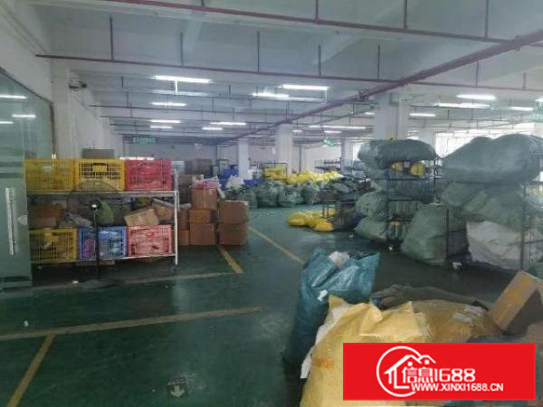 凤岗科技园现出精装修厂房出租楼上2000平米适合仓库电商等