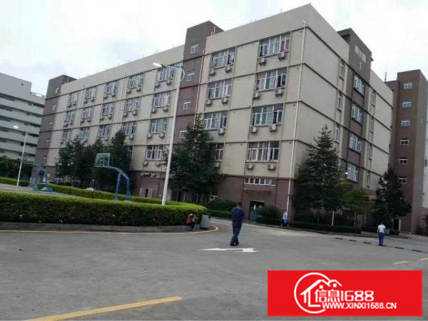 龙岗南联地铁独院原房东带装修厂房12500平米出租