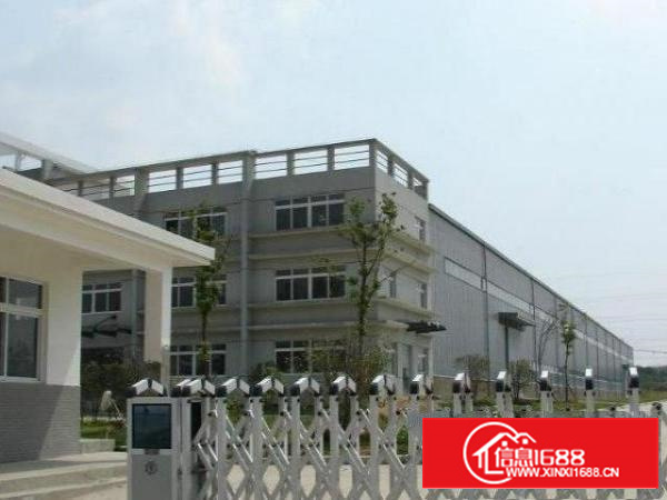 万江新出独门独院厂房层5000平方出租