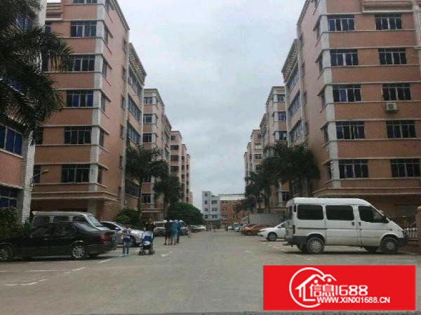 布吉大芬村布澜路口或慢城双电梯厂房200平米出租