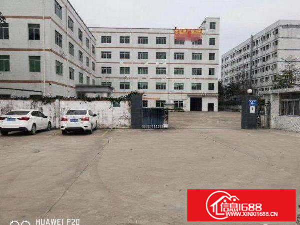 坪地教育北路261平方厂房物业出租超大空地带红本