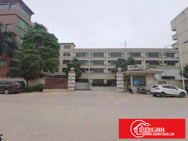 大岭山镇大沙新出4楼2000平标准厂房仓库出租，精装修