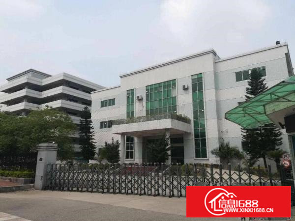 高埗镇形象美独院标准厂房带红本20000平