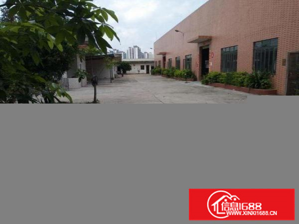 惠阳新墟独门独院单一层1200平砖墙到顶厂房可分可整