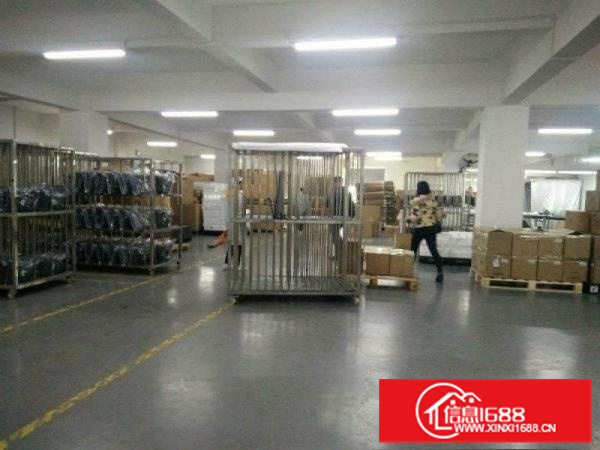 秋长带现成装修3200平楼上带电梯红本无公摊电按需