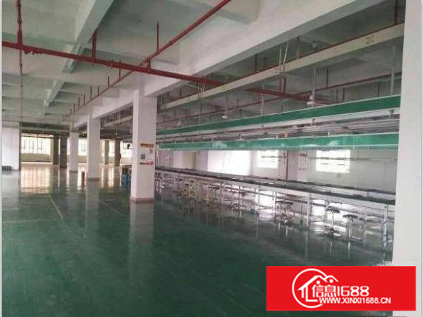 塘厦镇莆心湖，独院二楼1200平米，车间有地坪漆