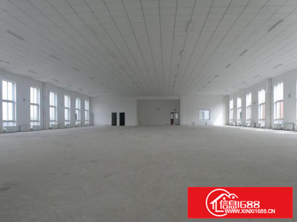 园洲标准厂房6000平，可整租可平分