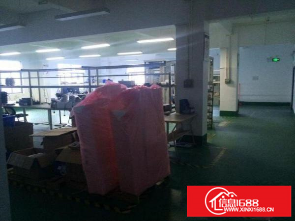 东莞凤岗镇电子组装加工厂房出租1000平方