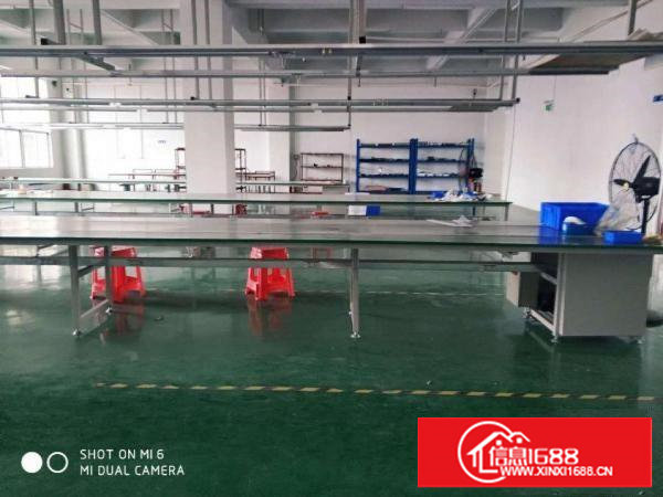 长安沙头振安路旁楼上1000平厂房出租电子厂房