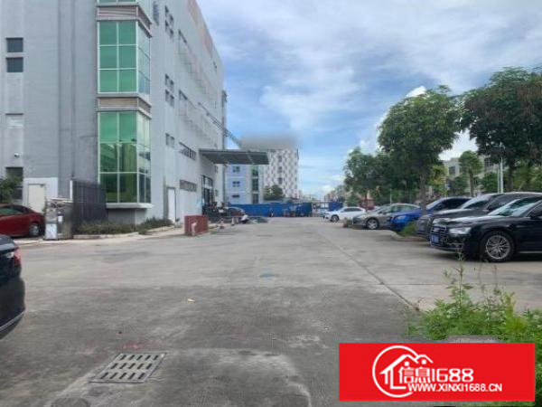 原房东独门独院三层16000平，空地超大