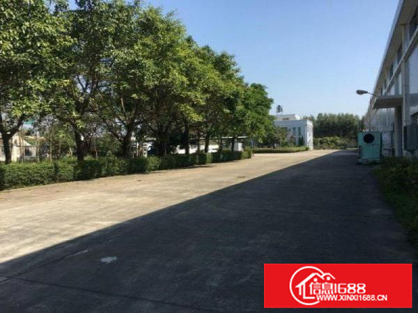 马安独院9米高钢结构厂房4000平方出租